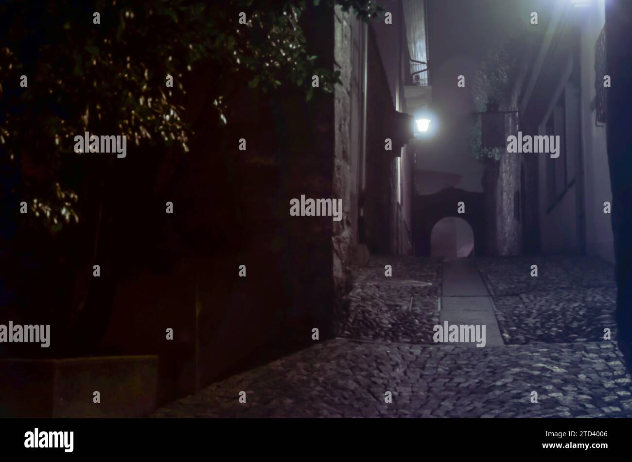 Foggy Illuminated Old Street Narrow Alley at Night in Ascona, Ticino ...