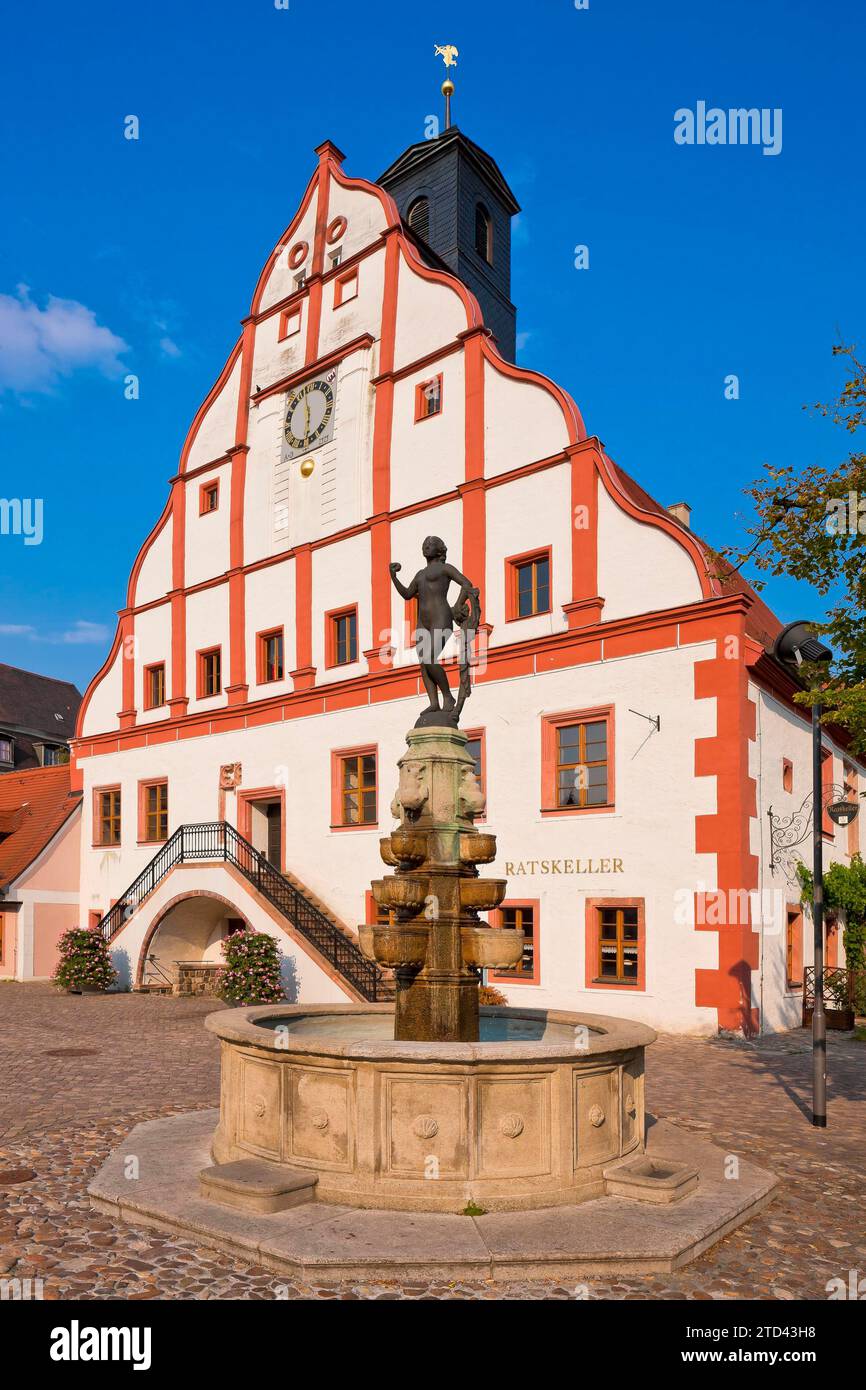 Grimma Town Hall and Eva Fountain Stock Photo