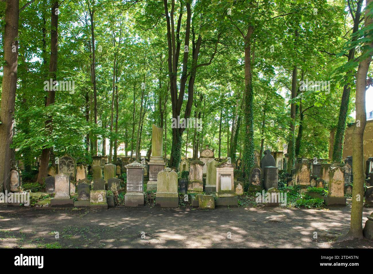 The Old Jewish Cemetery in Dresden is the oldest Jewish cemetery in Saxony. It is located on Pulsnitzer Strasse in the Neustadt district, near the Stock Photo