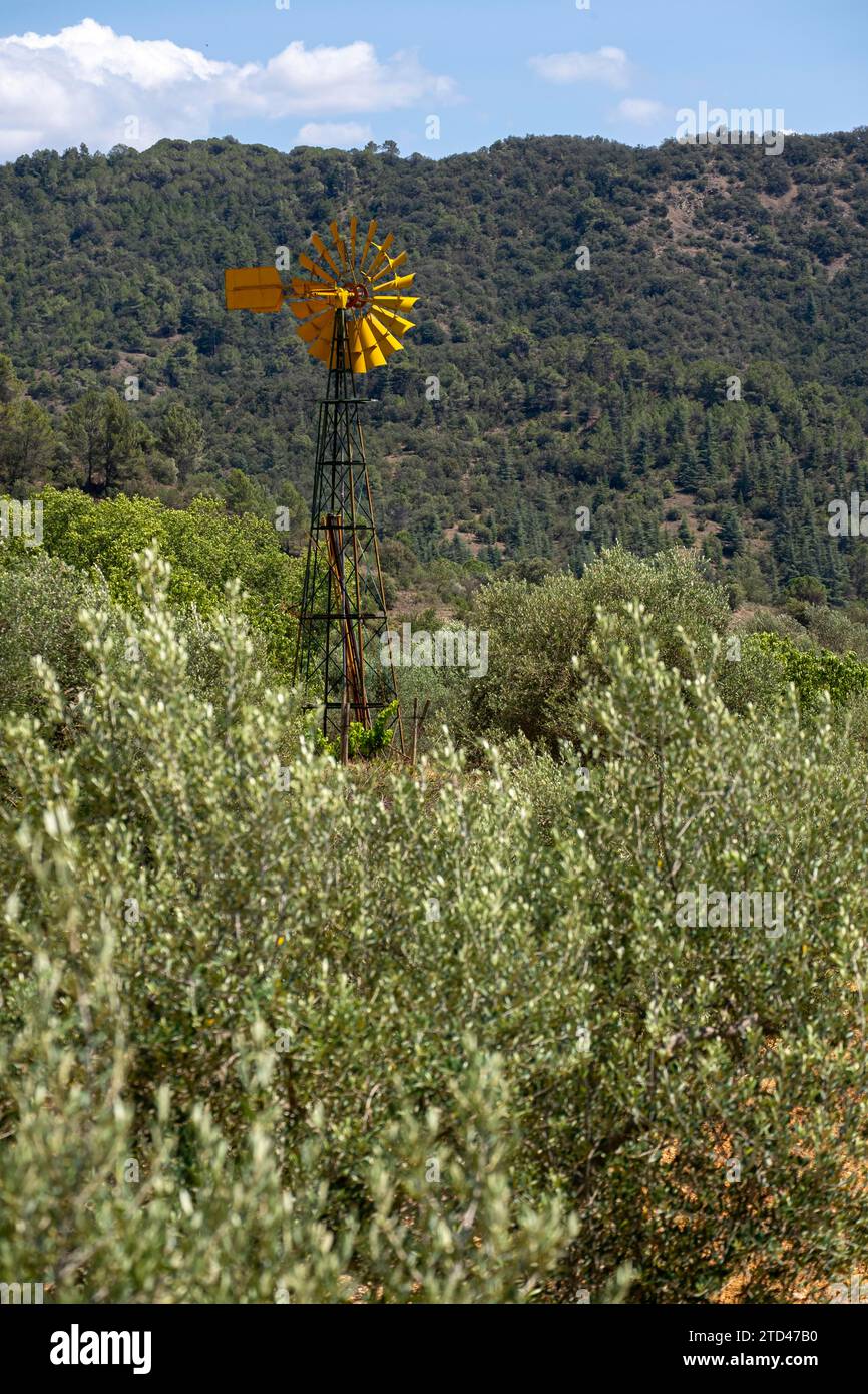 Windmill to produce electricity on a farm in the agricultural fields of Spain Stock Photo