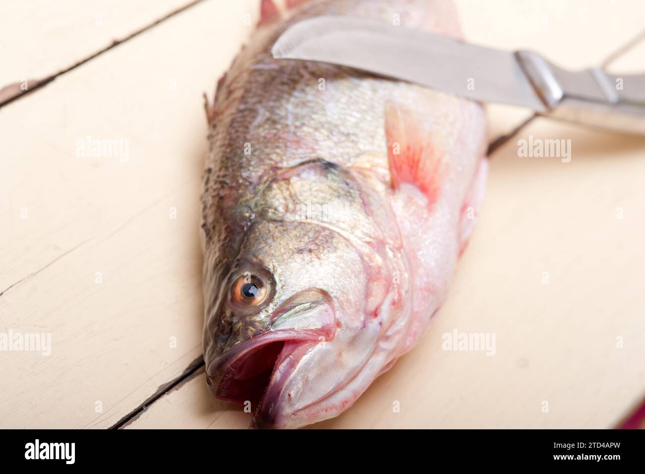 Fresh whole raw fish on a wooden table ready to cook Stock Photo