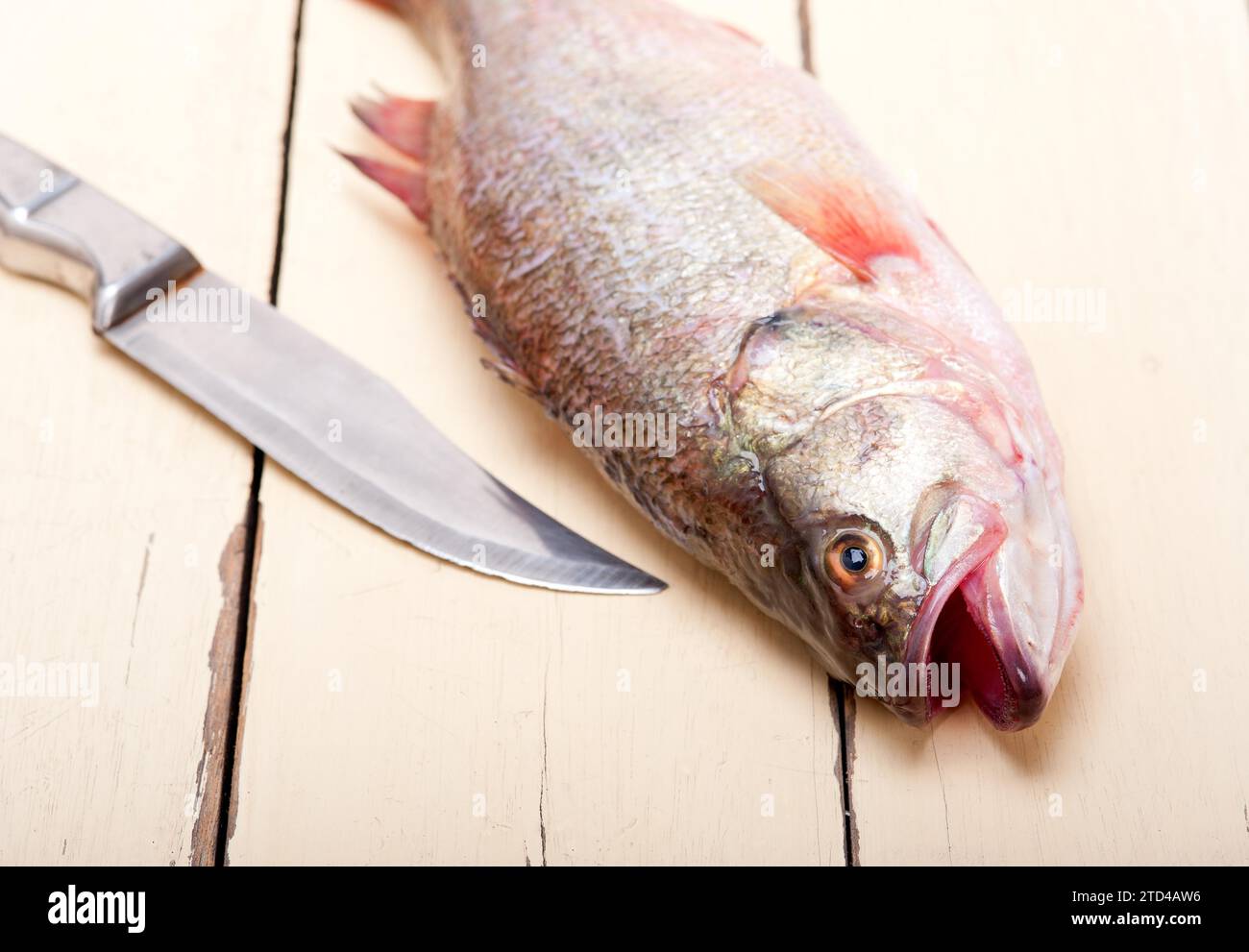 Fresh whole raw fish on a wooden table ready to cook Stock Photo