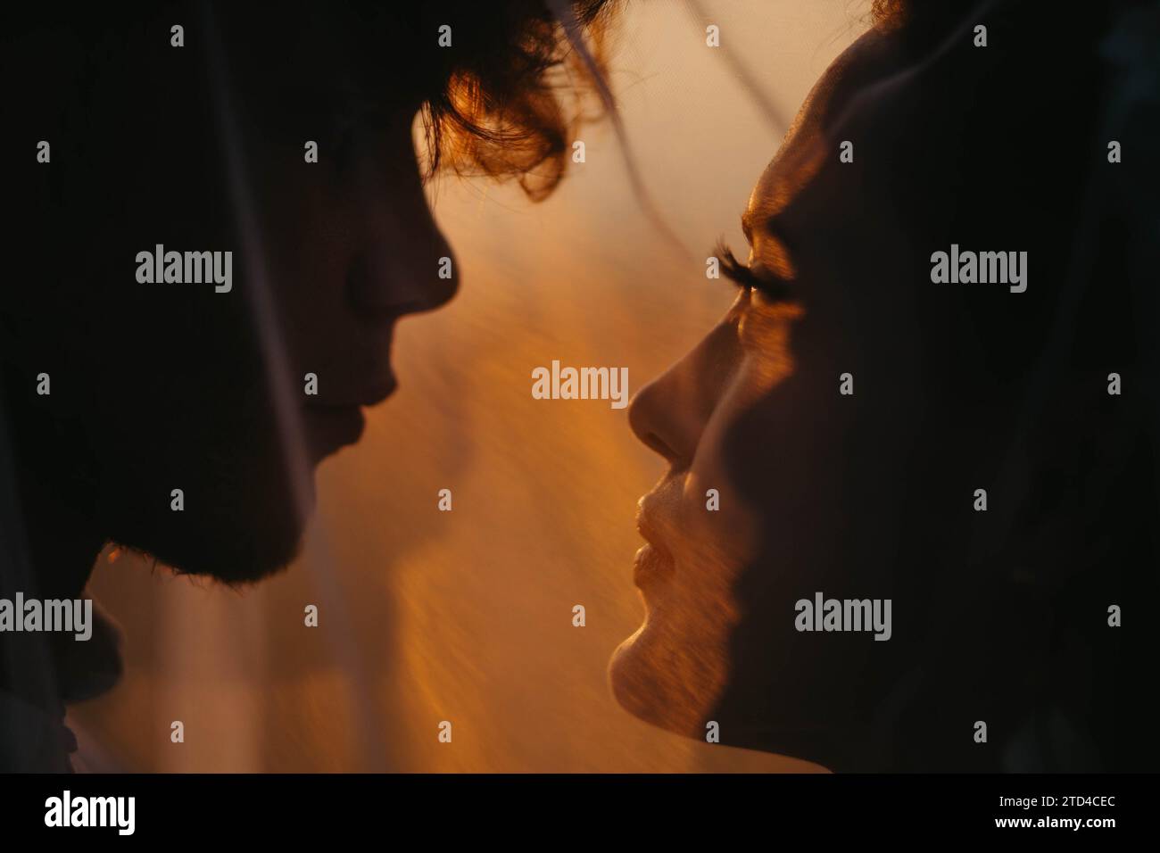 It All Began with a Love Story Veil main image 0