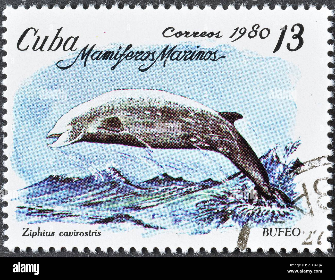 Cancelled postage stamp printed by Cuba, that shows Cuvier's Beaked Whale (Ziphius cavirostris), circa 1980. Stock Photo