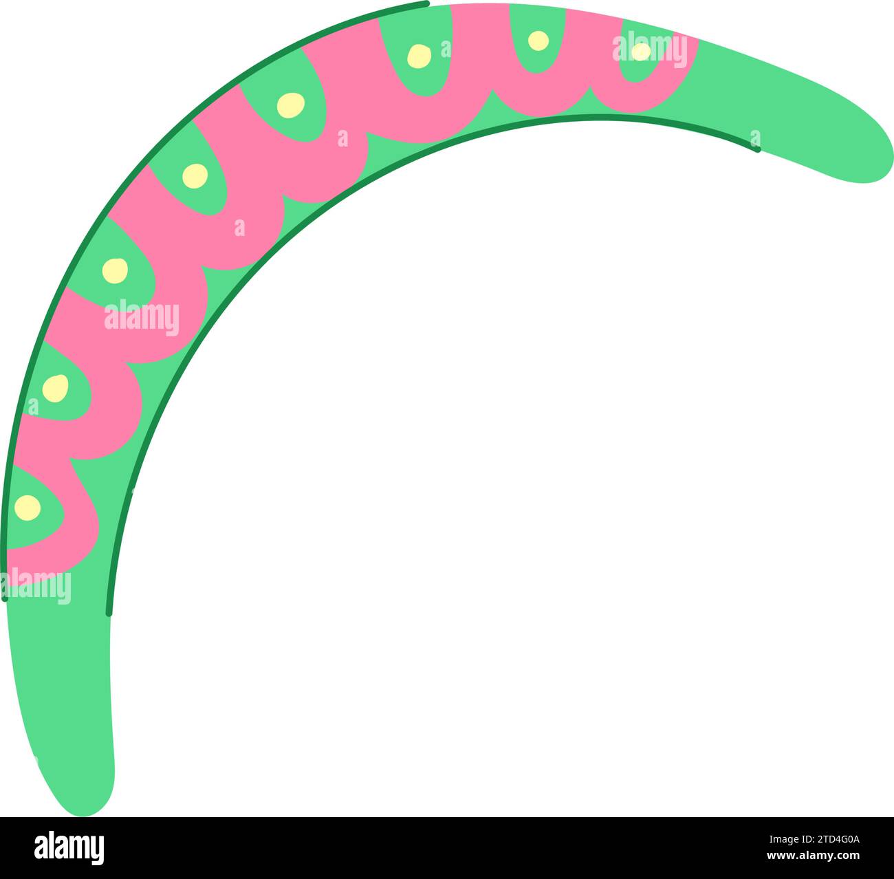 bumerang boomerang cartoon vector illustration Stock Vector Image & Art