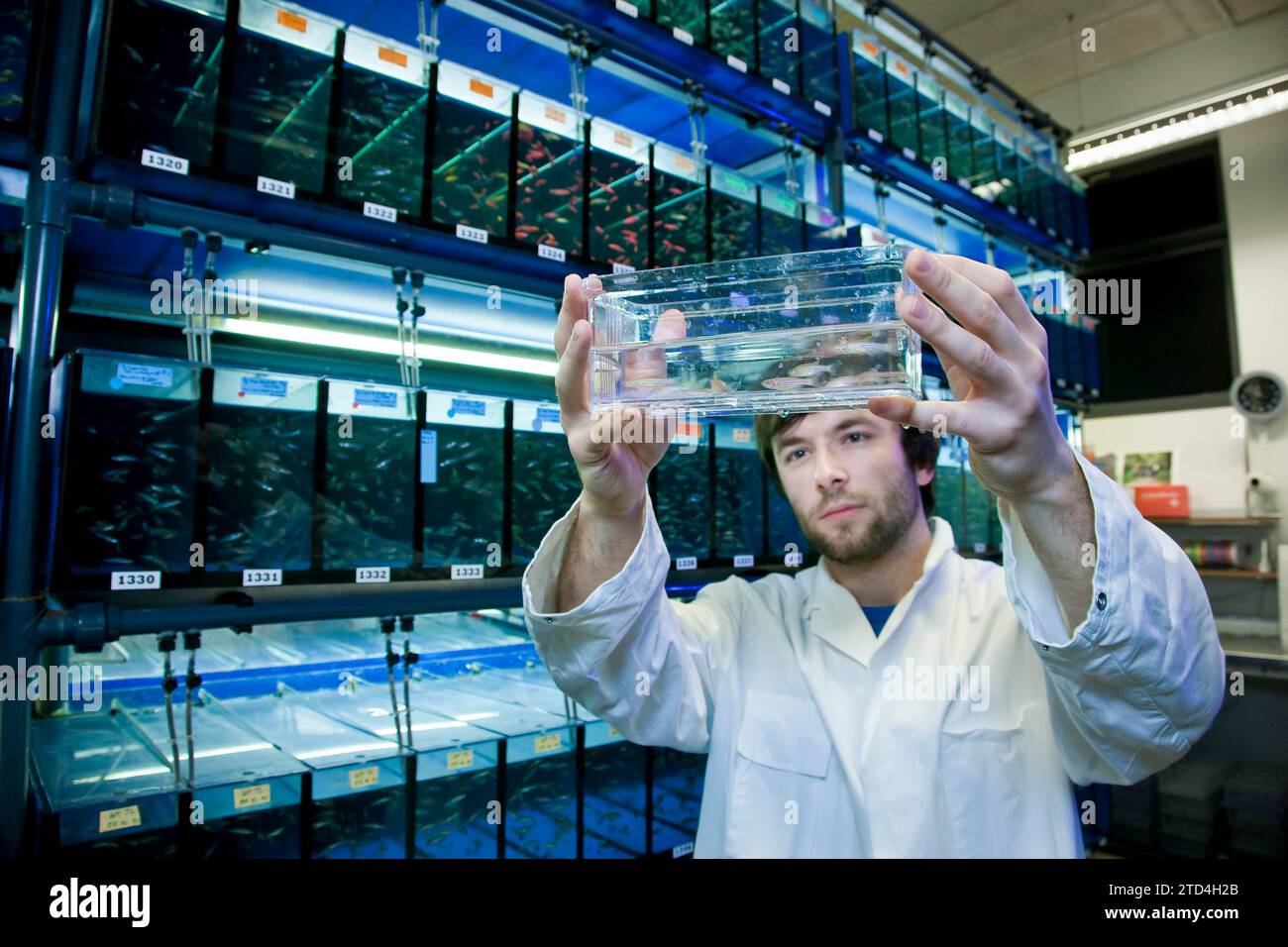 max planck institute of colloids and interfaces