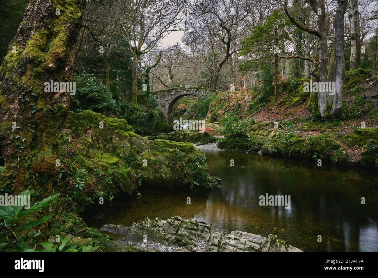 Foley's Bridge in Tollymore Forest Park, County Down, Northern Ireland. This has been featured in many films including Dungeons & Dragons. Stock Photo