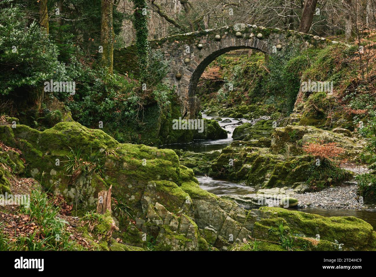 Foley's Bridge in Tollymore Forest Park, County Down, Northern Ireland. This has been featured in many films including Dungeons & Dragons. Stock Photo
