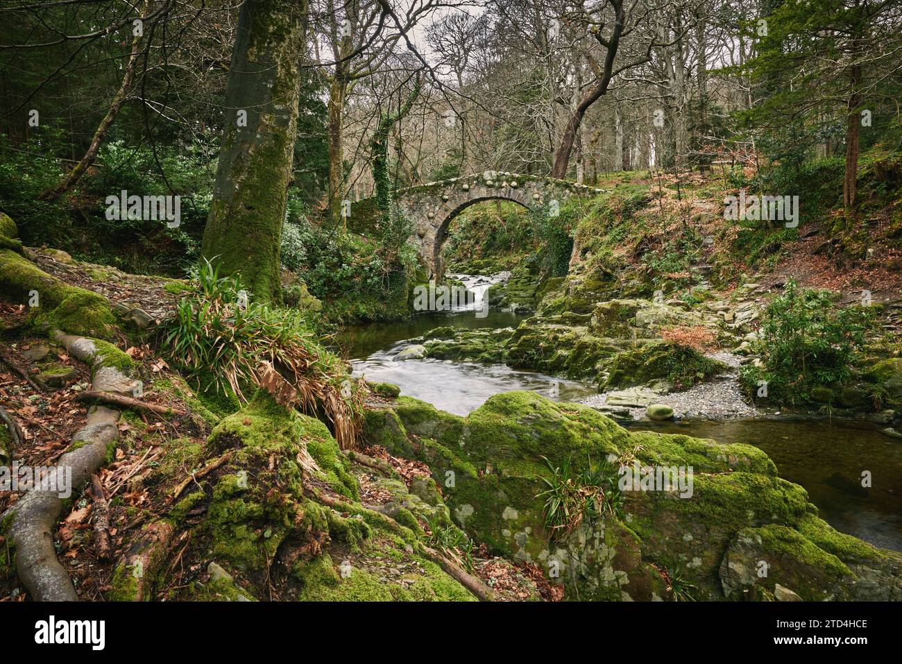 Foley Bridge Foley’s bridge hi-res stock photography and images - Alamy