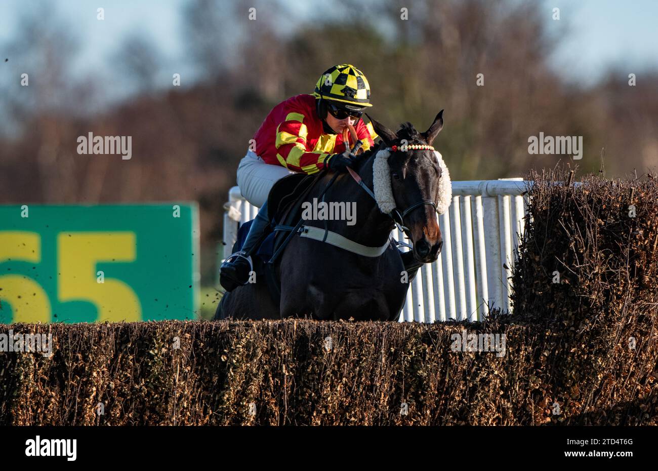 Doncaster, UK. 16th December, 2023. Doncaster, United Kingdom. Saturday 16th December 2023. Onemorefortheroad and Jack Quinlan win the The 6 Horse Challenge at Bet365 Handicap Steeple Chase for trainer Neil King and owners Rupert Dubai Racing. Credit JTW Equine Images / Alamy Live News Credit: JTW Equine Images/Alamy Live News Stock Photo