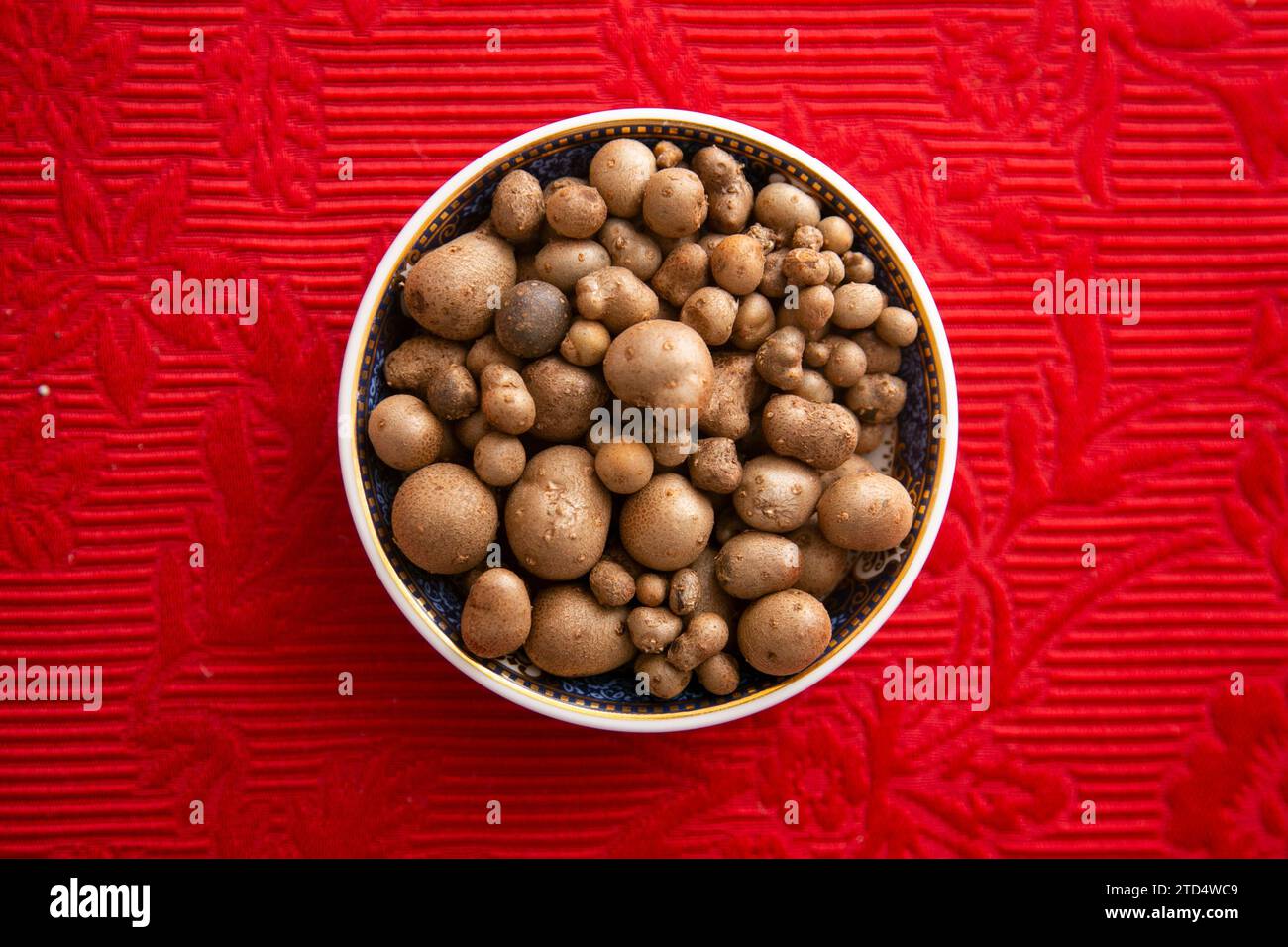 Bulbils of Japanese mountain yam to cook a delicious Mukago gohan. Stock Photo