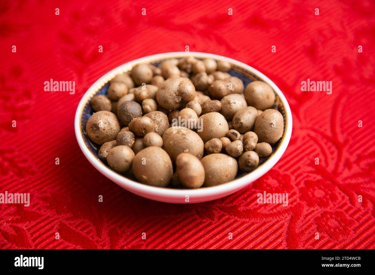 Bulbils of Japanese mountain yam to cook a delicious Mukago gohan. Stock Photo