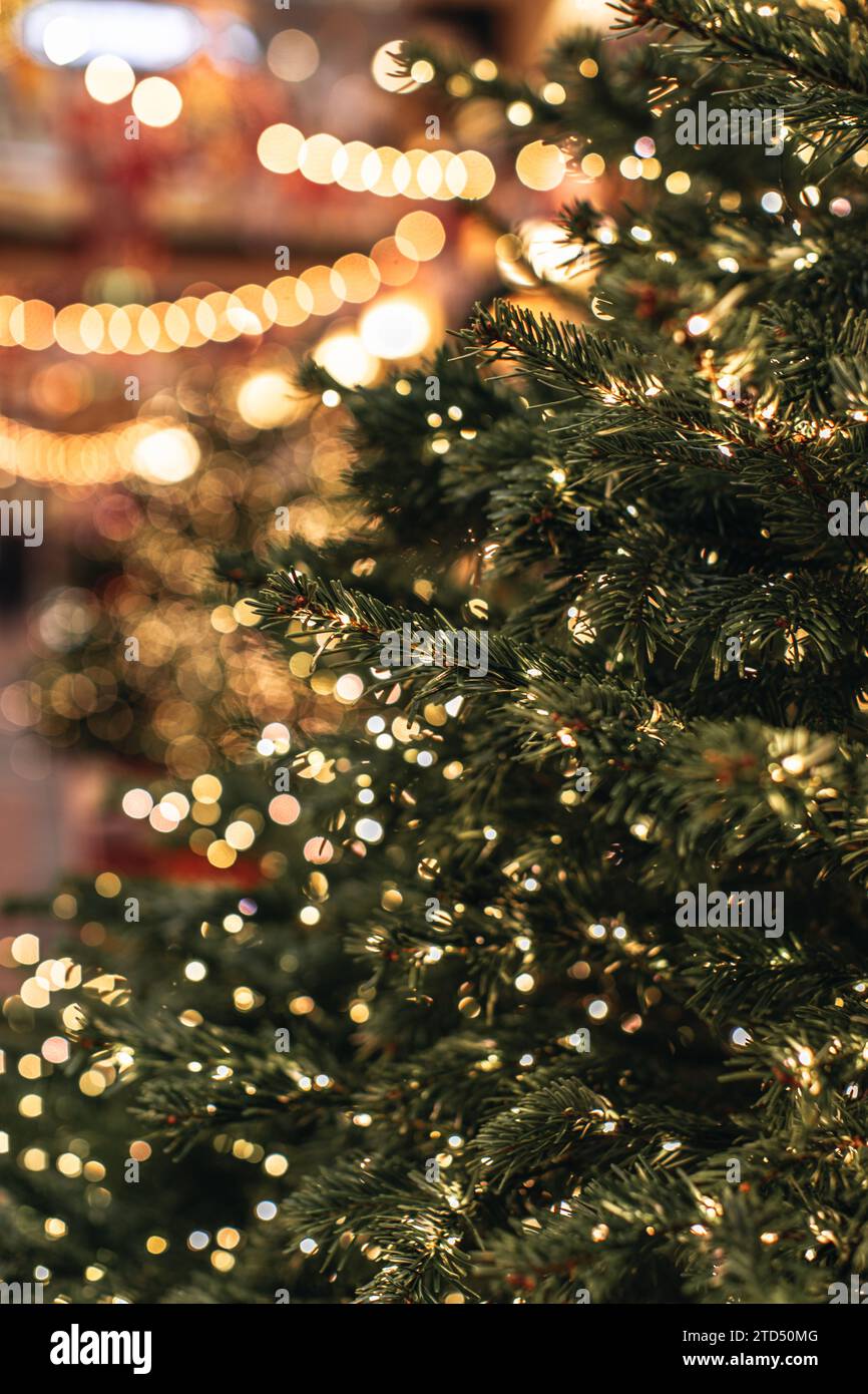 Green branches of a Christmas tree decorated with sparkling golden garlands lights. Festive details in the interior. Stock Photo