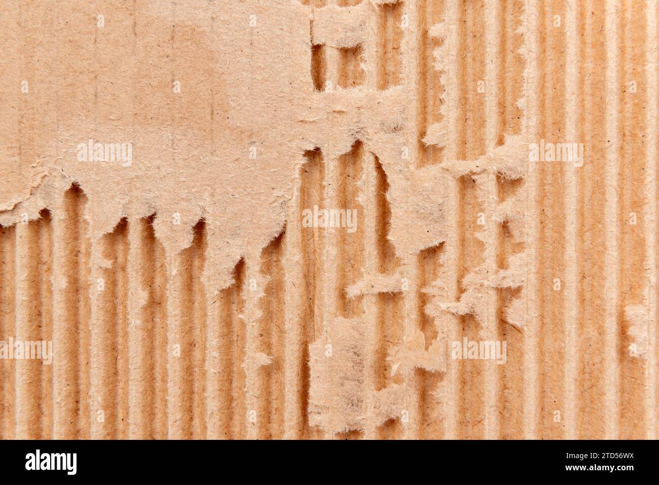 Texture of torn cardboard. Corrugated cardboard background Stock Photo