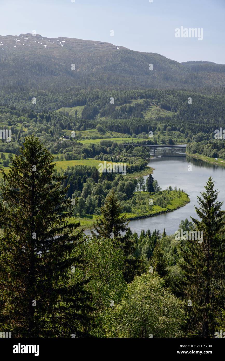 A vertical landscape photo of Elstad in Trondelag, Norway, capturing a river's bend surrounded by dense forests under a pristine blue sky on a sunny s Stock Photo