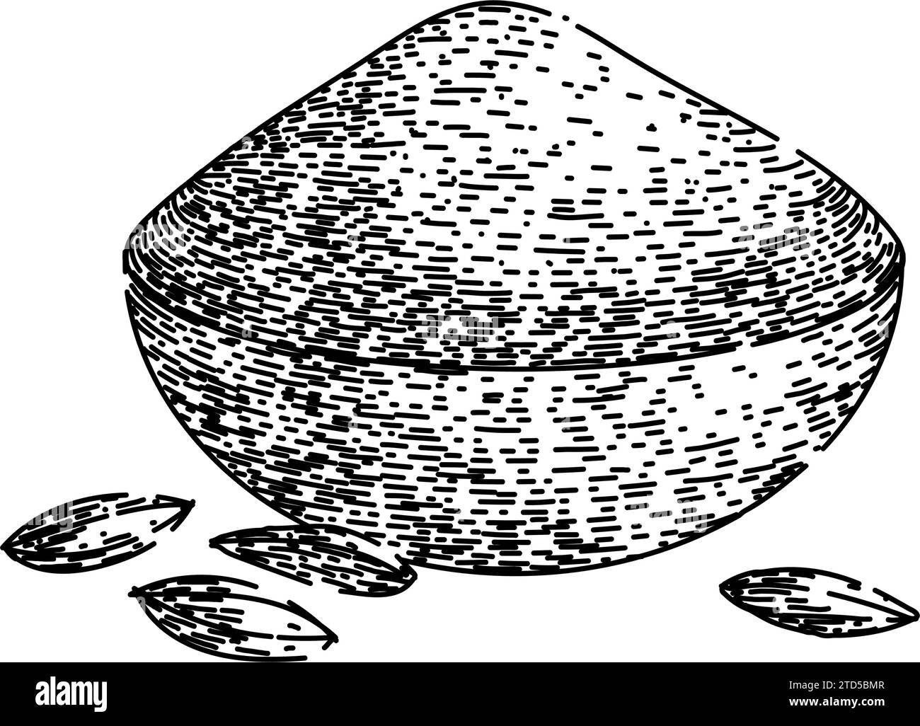 herb cumin sketch hand drawn vector Stock Vector Image & Art Alamy