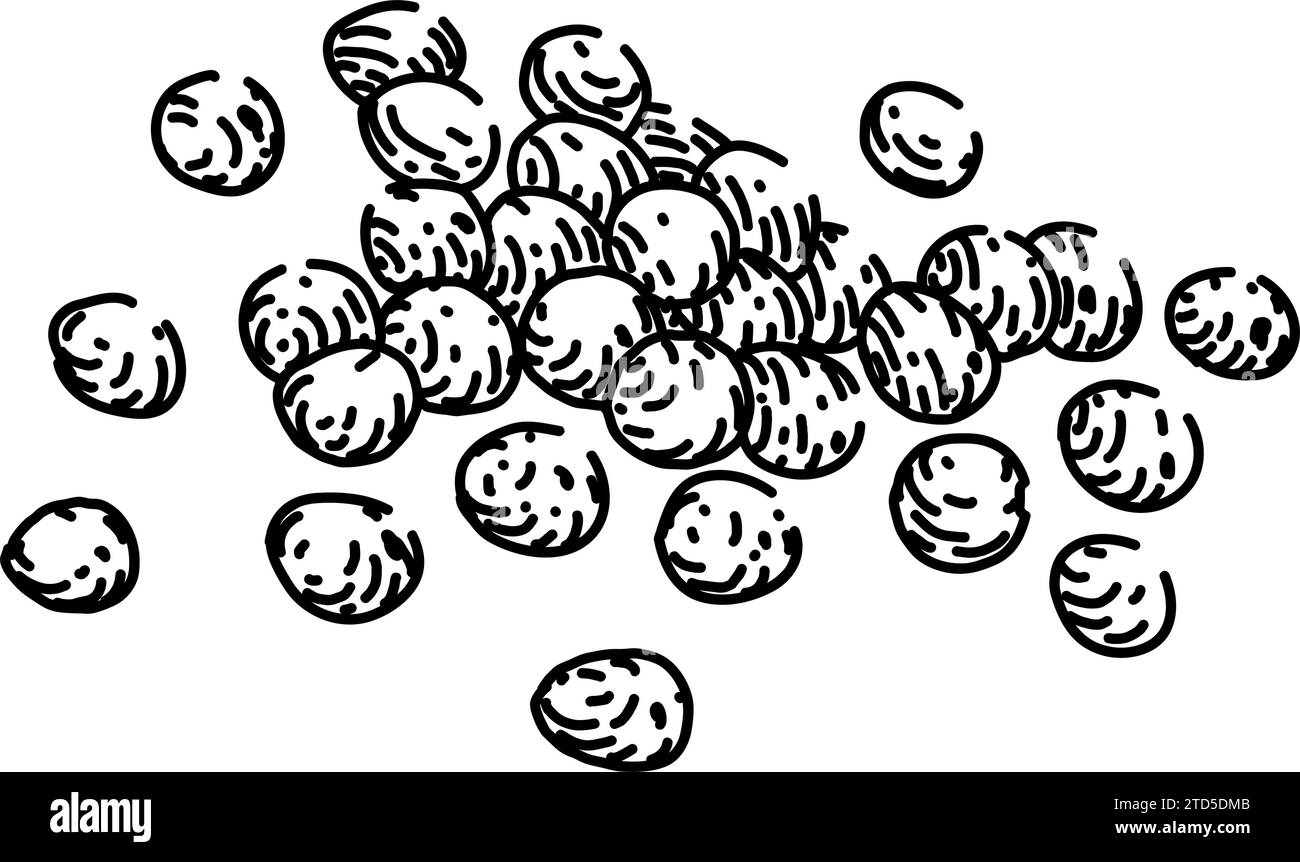 healthy millet sketch hand drawn vector Stock Vector Image & Art Alamy