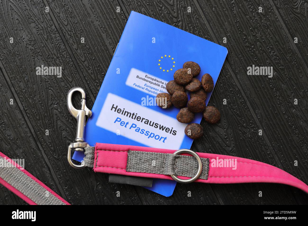 EU pet ID card with the inscription 'Pet ID card and Federal Republic of Germany' and a dog leash Stock Photo