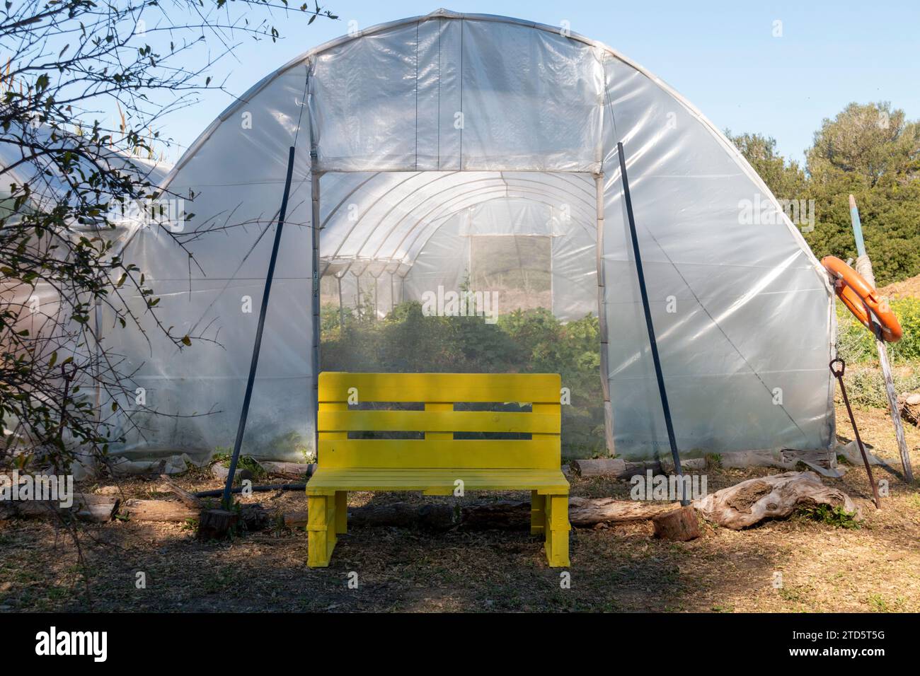 View of the entrance to a plastic greenhouse Stock Photo