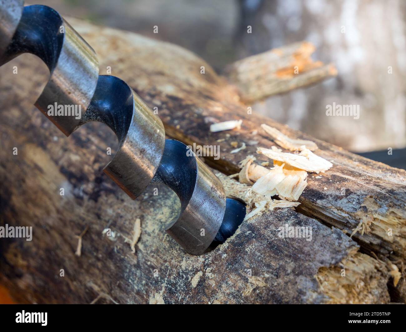 Twist drill makes a hole in a log Stock Photo Alamy