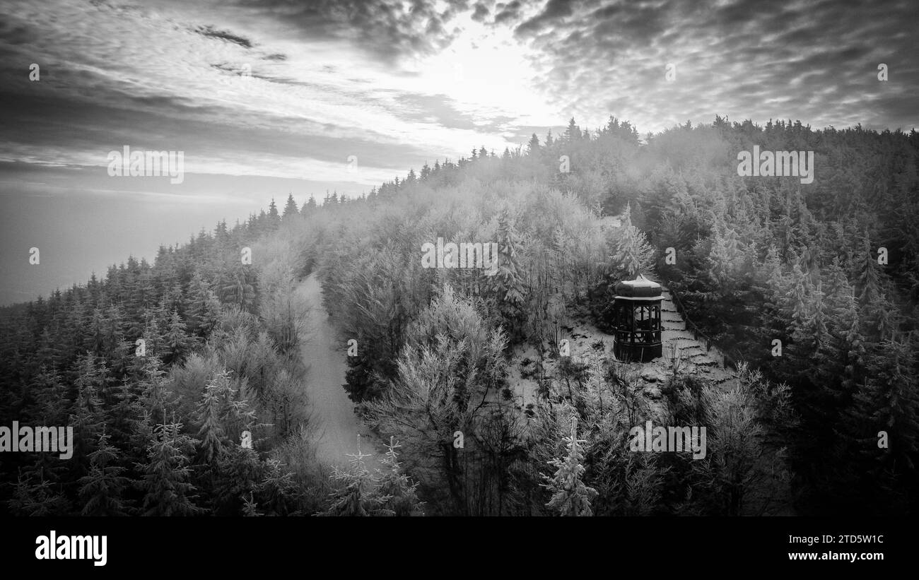 Aerial sunset forest Black and White Stock Photos & Images - Alamy