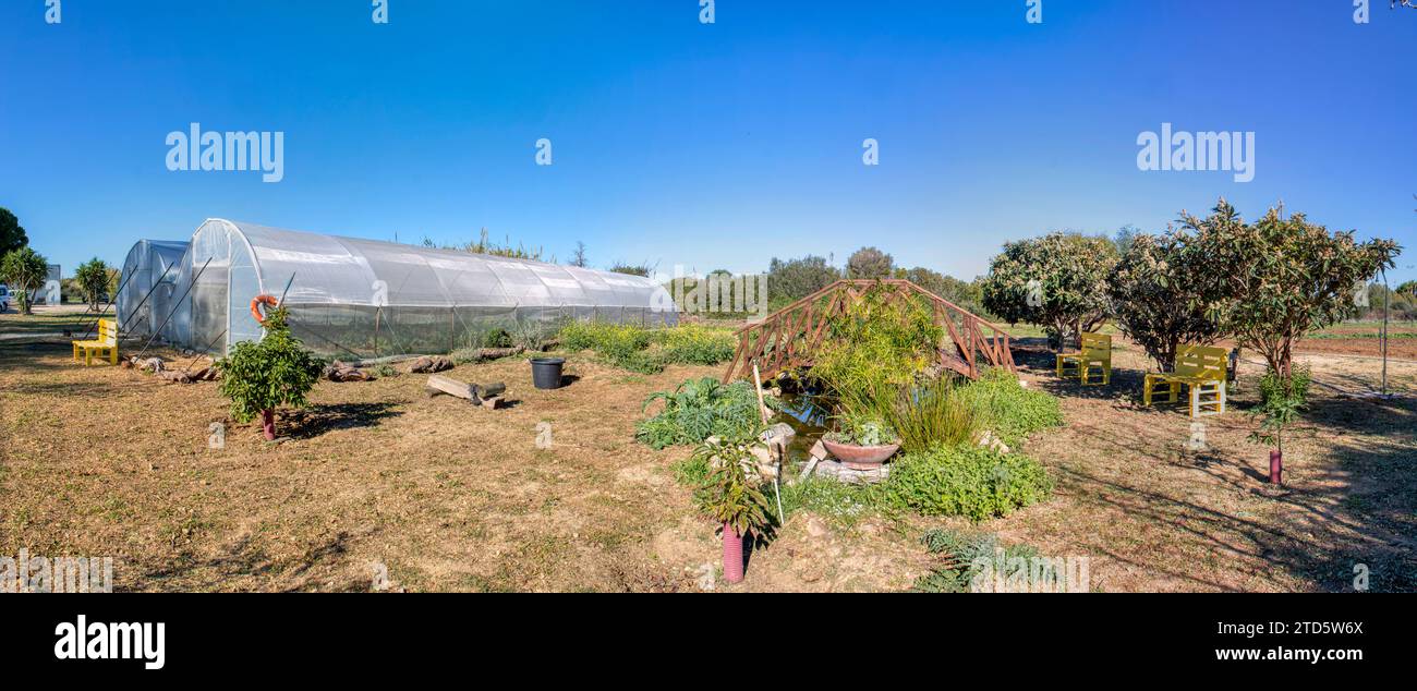 Panorama. Panoramic view with a plastic greenhouse installed in a wild garden. Organically grown vegetables. Stock Photo