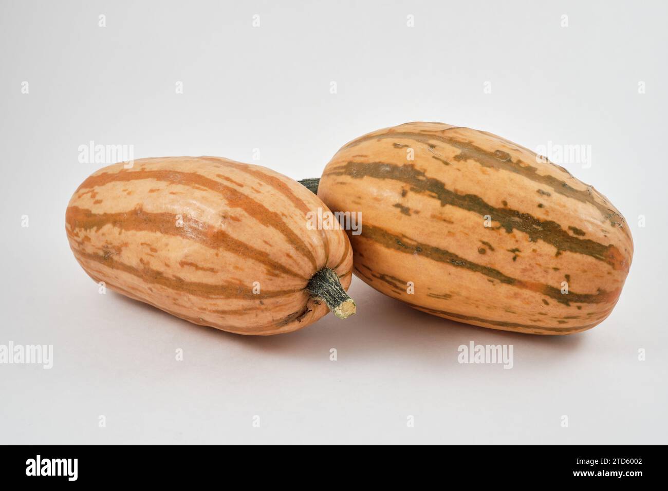 Striped orange and green spaghetti squash variant Stock Photo