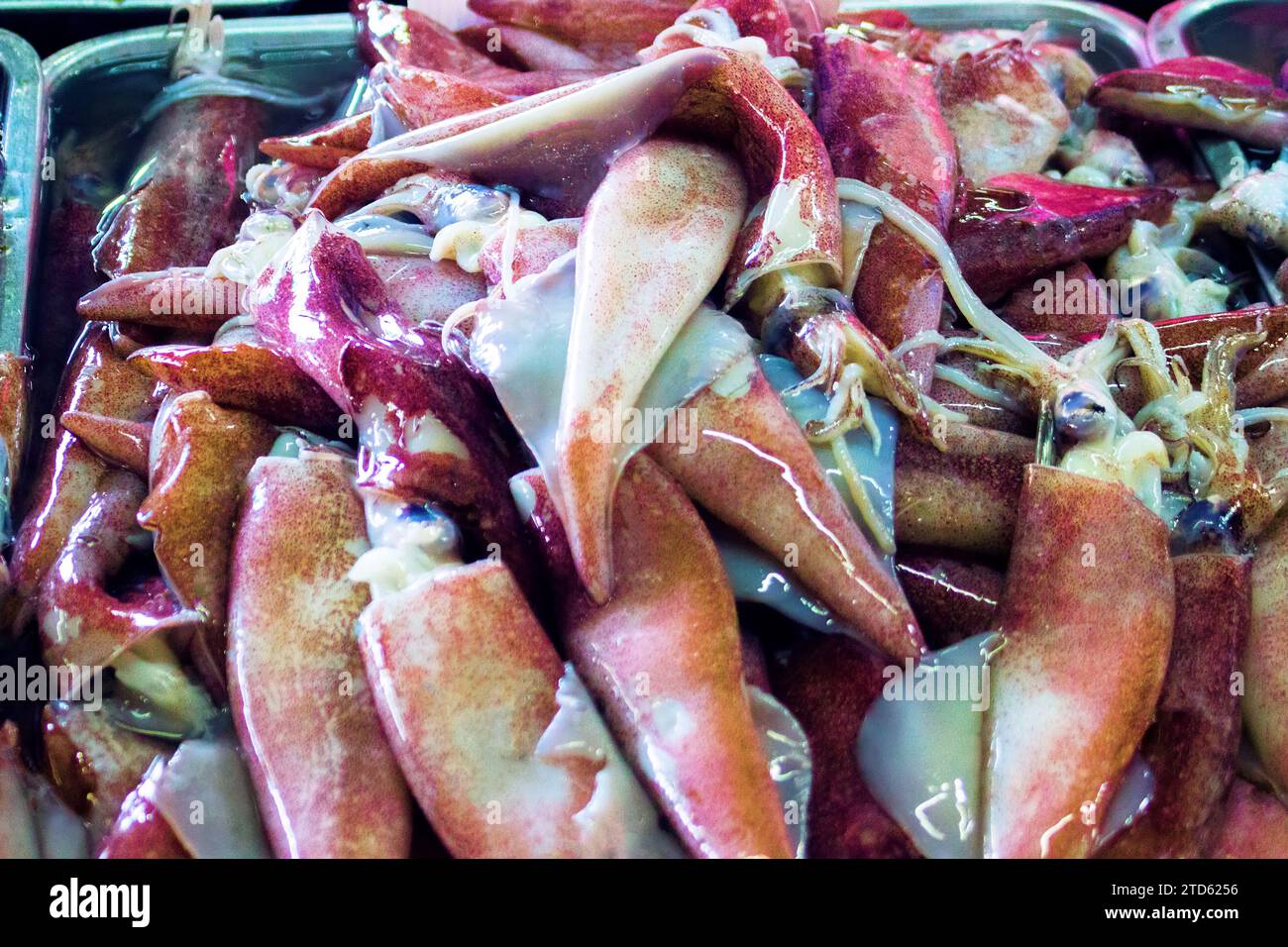 Salted Squid main image 1