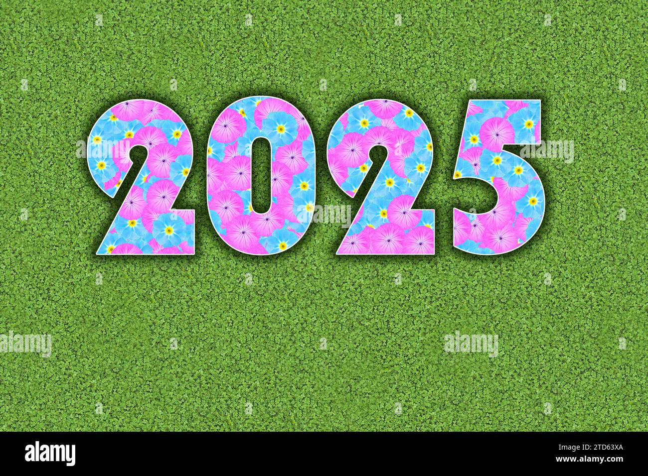 Year, year 2025 written with baby colours, light blue and pink flowers on a green background Stock Photo