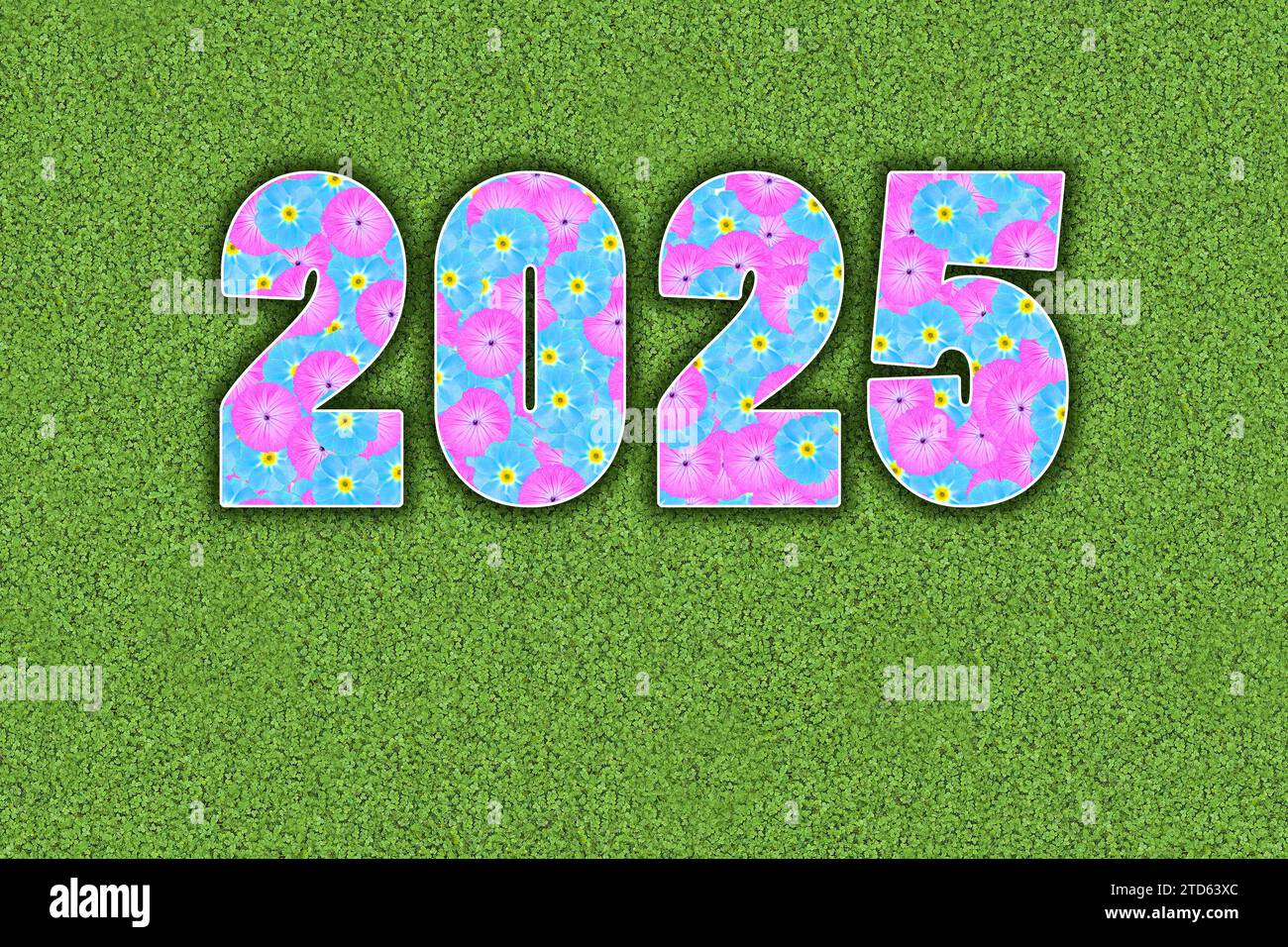 Year, year 2025 written with baby colours, light blue and pink flowers