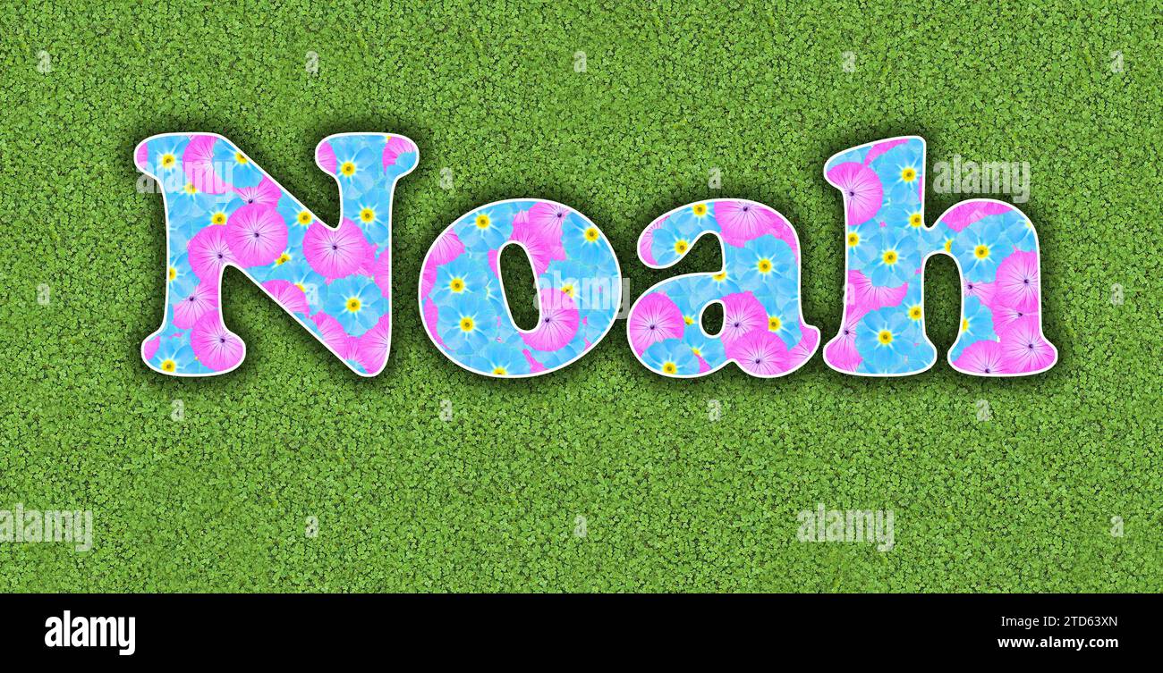 Noah, one of the ten most popular boys' first names in the USA, 2023, written with flowers in baby colours, pink and light blue, on a green background Stock Photo