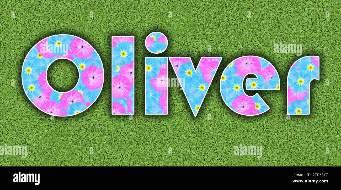 Oliver, one of the ten most popular boys' first names in the USA, 2023