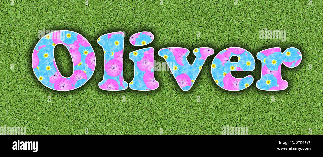 Oliver, one of the ten most popular boys' first names in the USA, 2023, written with flowers in baby colours, pink and light blue, on a green backgrou Stock Photo