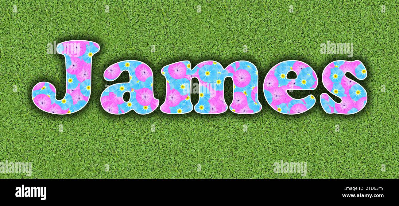 James, one of the ten most popular boys' first names in the USA, 2023, written with flowers in baby colours, pink and light blue, on a green backgroun Stock Photo