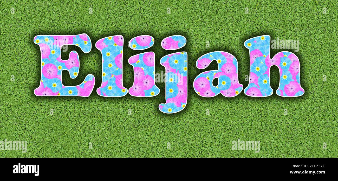 Elijah, one of the ten most popular boys' first names in the USA, 2023, written with flowers in baby colours, pink and light blue, on a green backgrou Stock Photo