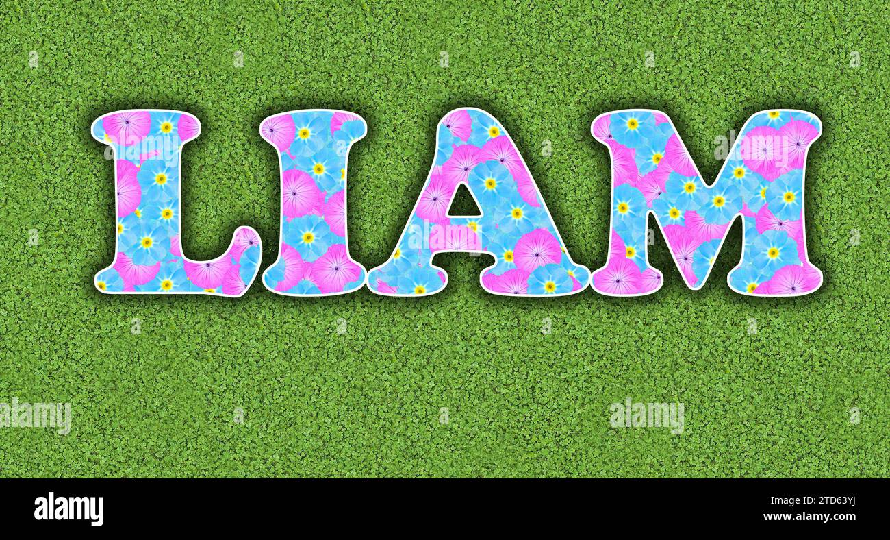 Liam, one of the ten most popular boys' first names in the USA, 2023, written with flowers in baby colours, pink and light blue, on a green background Stock Photo