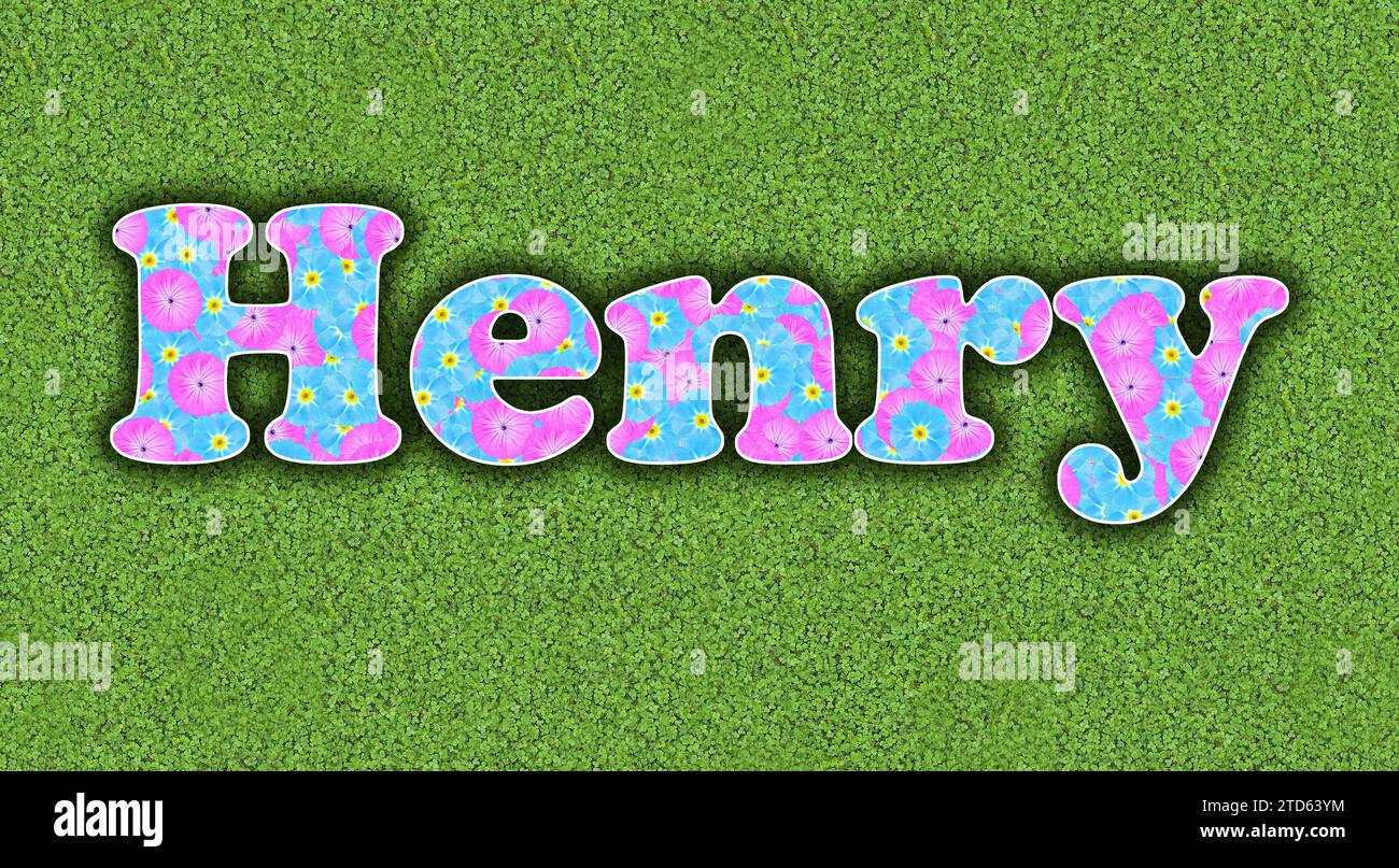 Henry, one of the ten most popular boys' first names in the USA, 2023, written with flowers in baby colours, pink and light blue, on a green backgroun Stock Photo