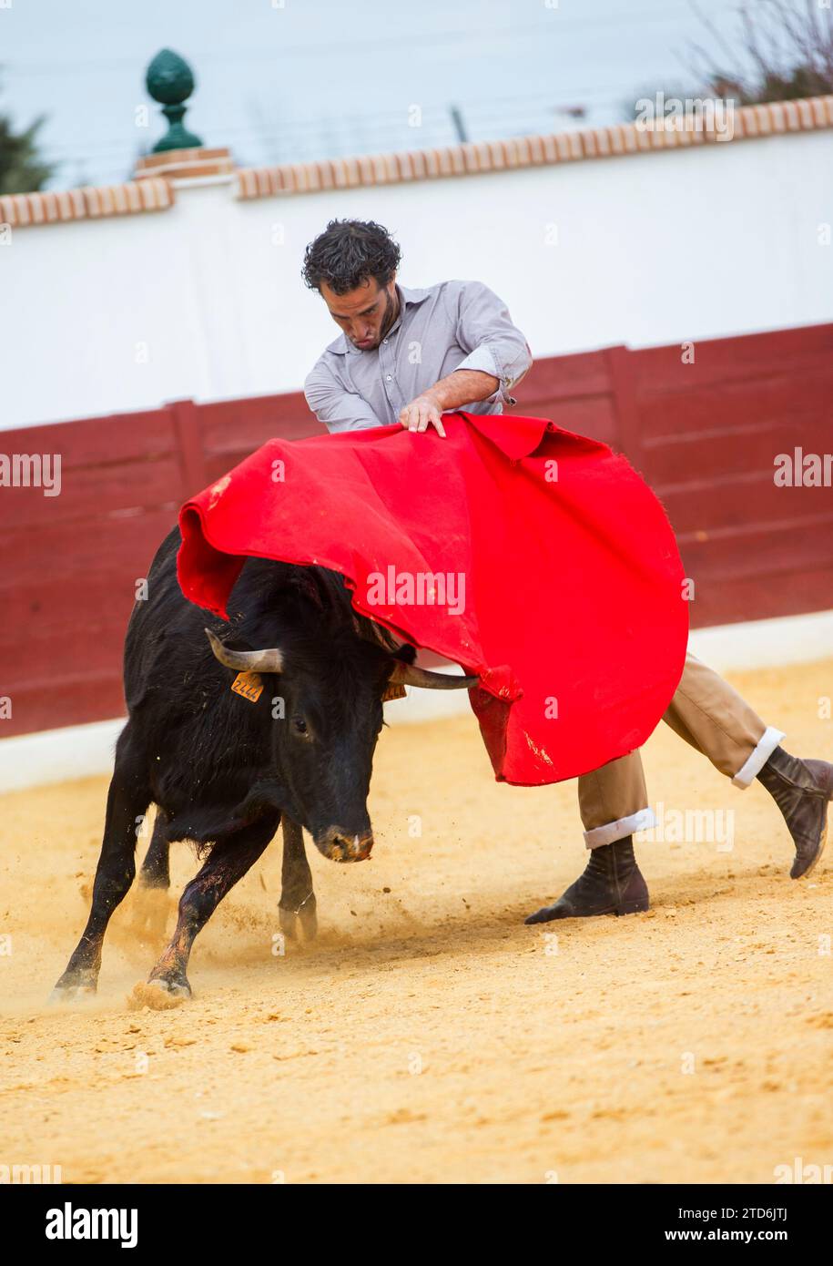 Farmo Chingch Chinchón (Madrid), 03/15/2015. Interview with Iván Fandiño at the ...