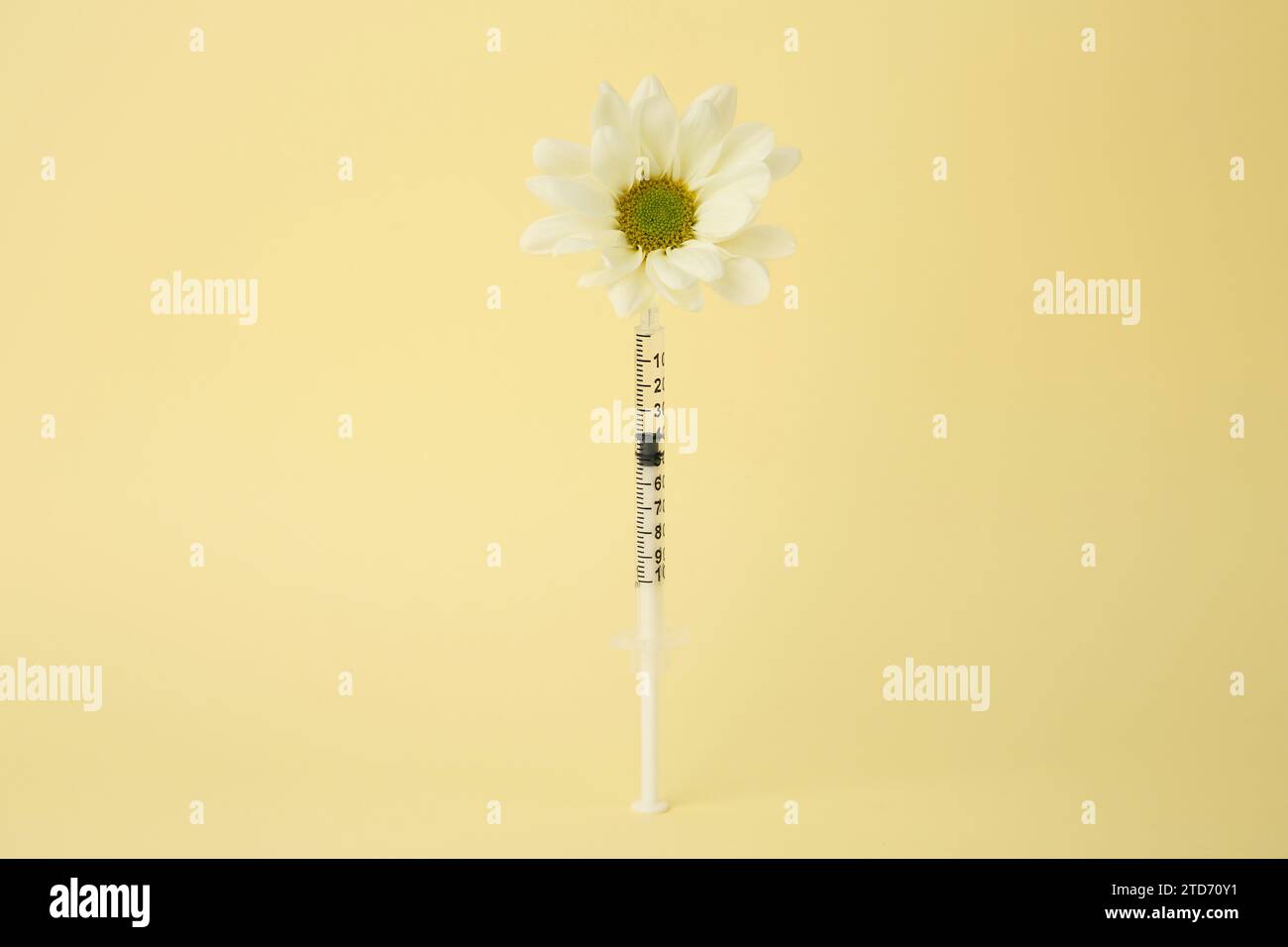 Insulin flower hi-res stock photography and images - Alamy