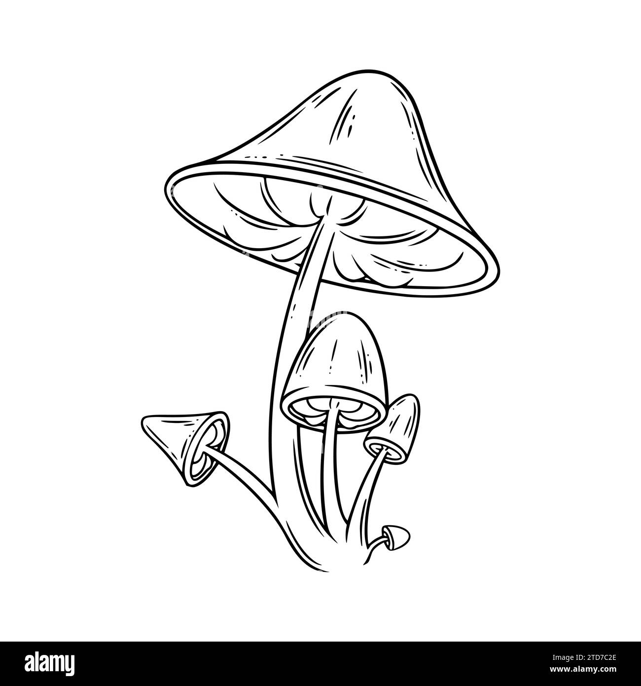 Poison mushrooms. Psychedelic mushrooms for wicca rituals. Vector