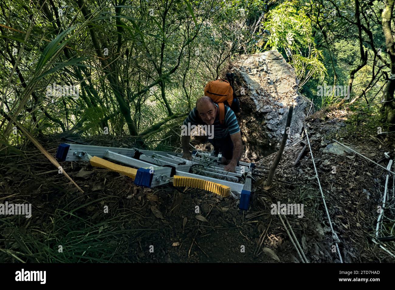Climbing ladders hi-res stock photography and images - Alamy
