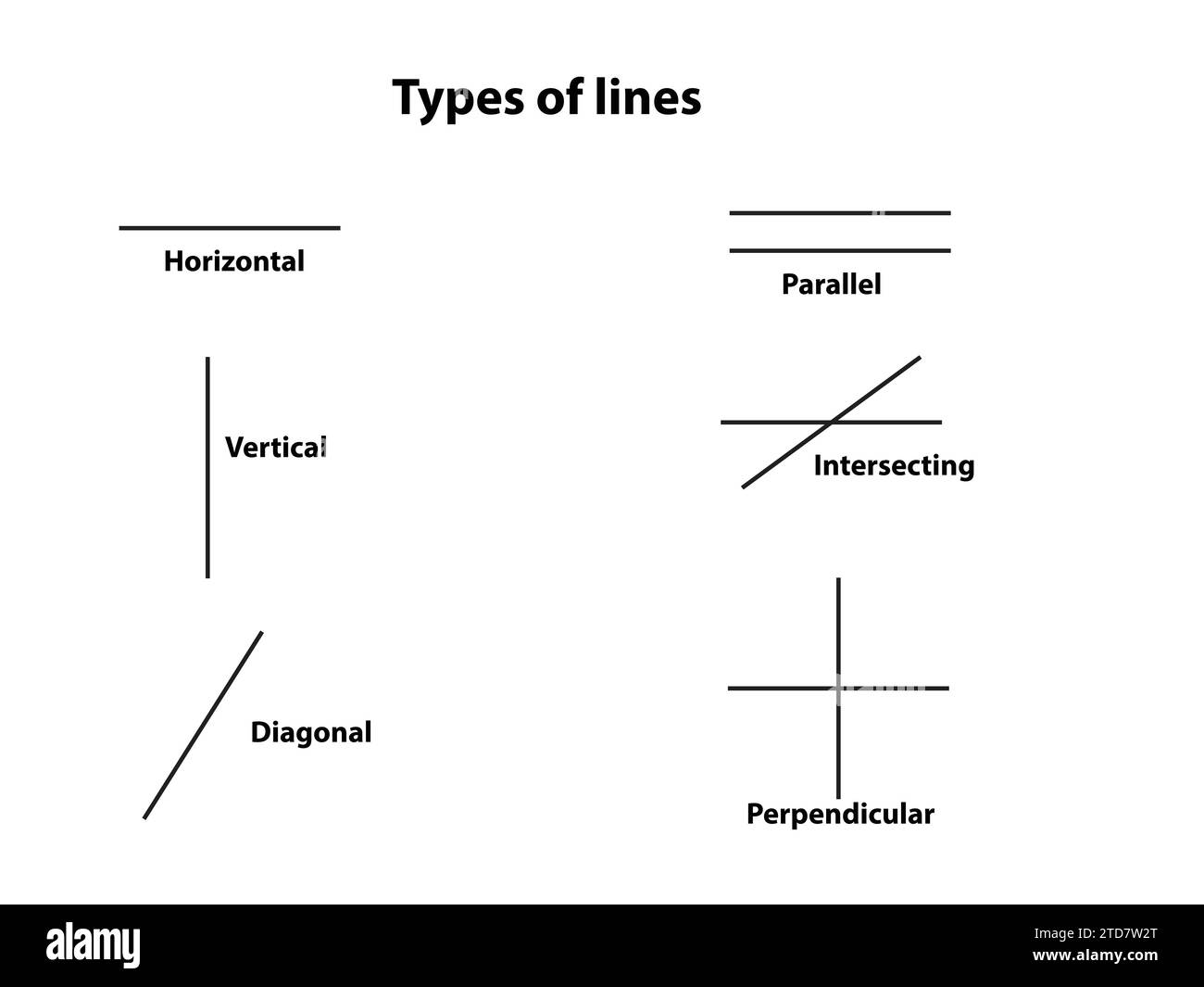 Types of lines on white background with text Stock Vector Image & Art