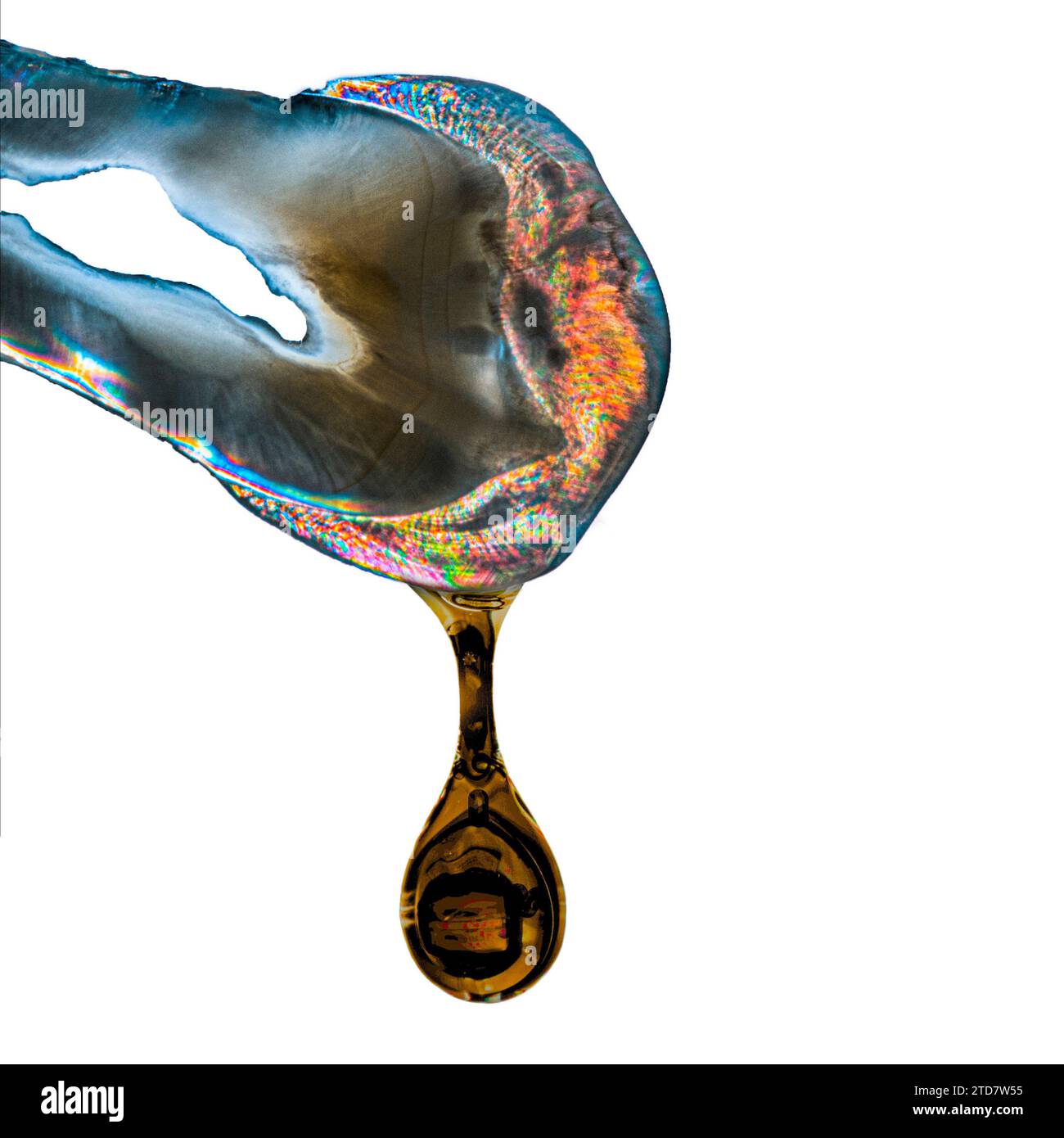 tooth slice macro cross polar picture Stock Photo - Alamy