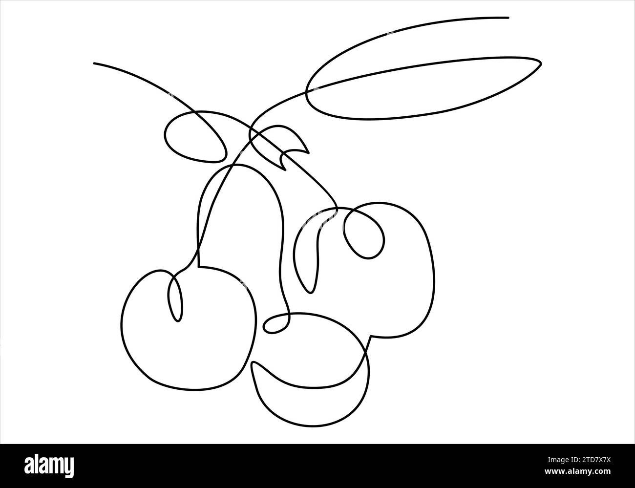 Cherries. Continuous line Stock Vector Image & Art Alamy
