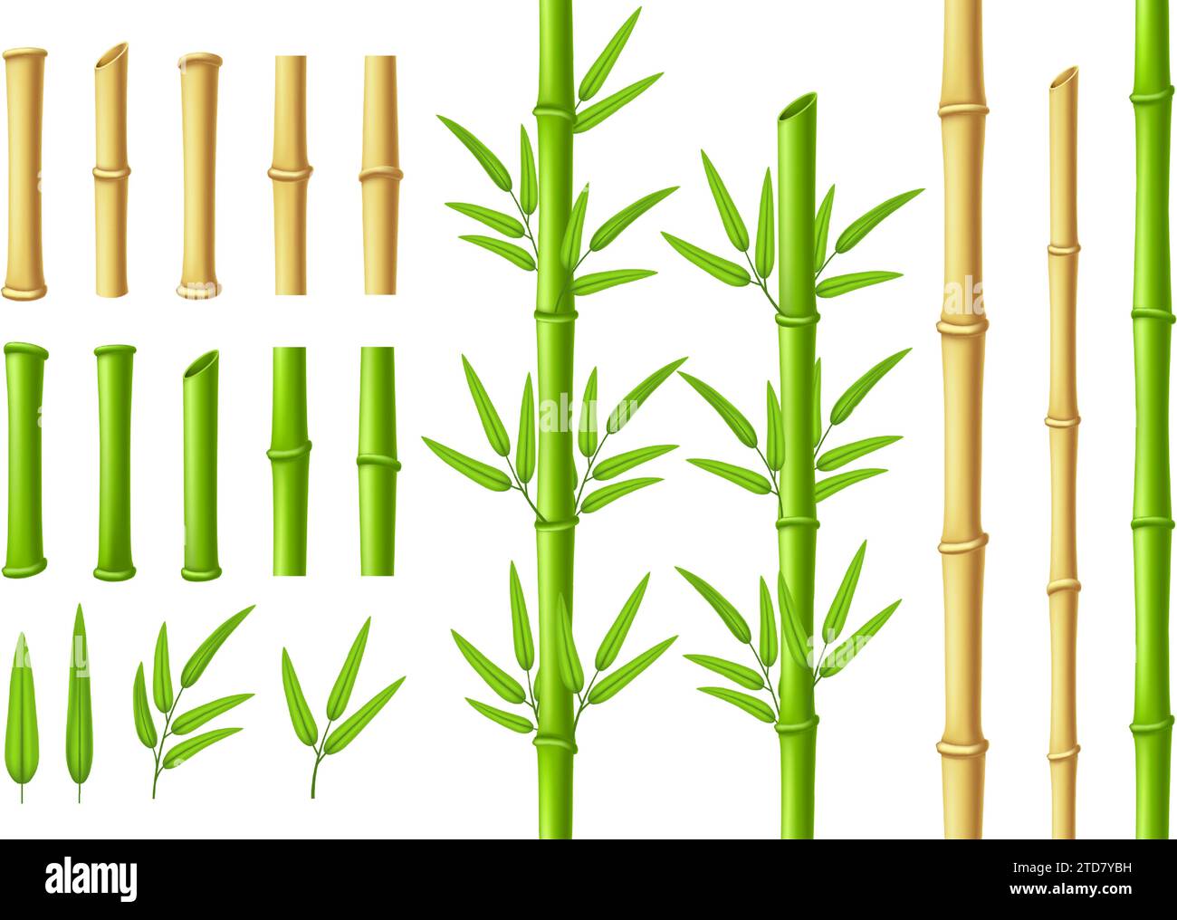 Brown bamboo stick with green leaves in sketch style isolated on