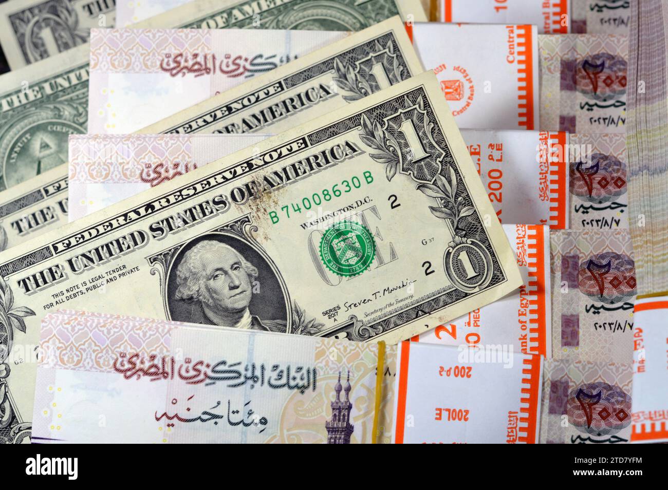 Piles and Stacks of Egypt money thousands of Pounds currency banknotes