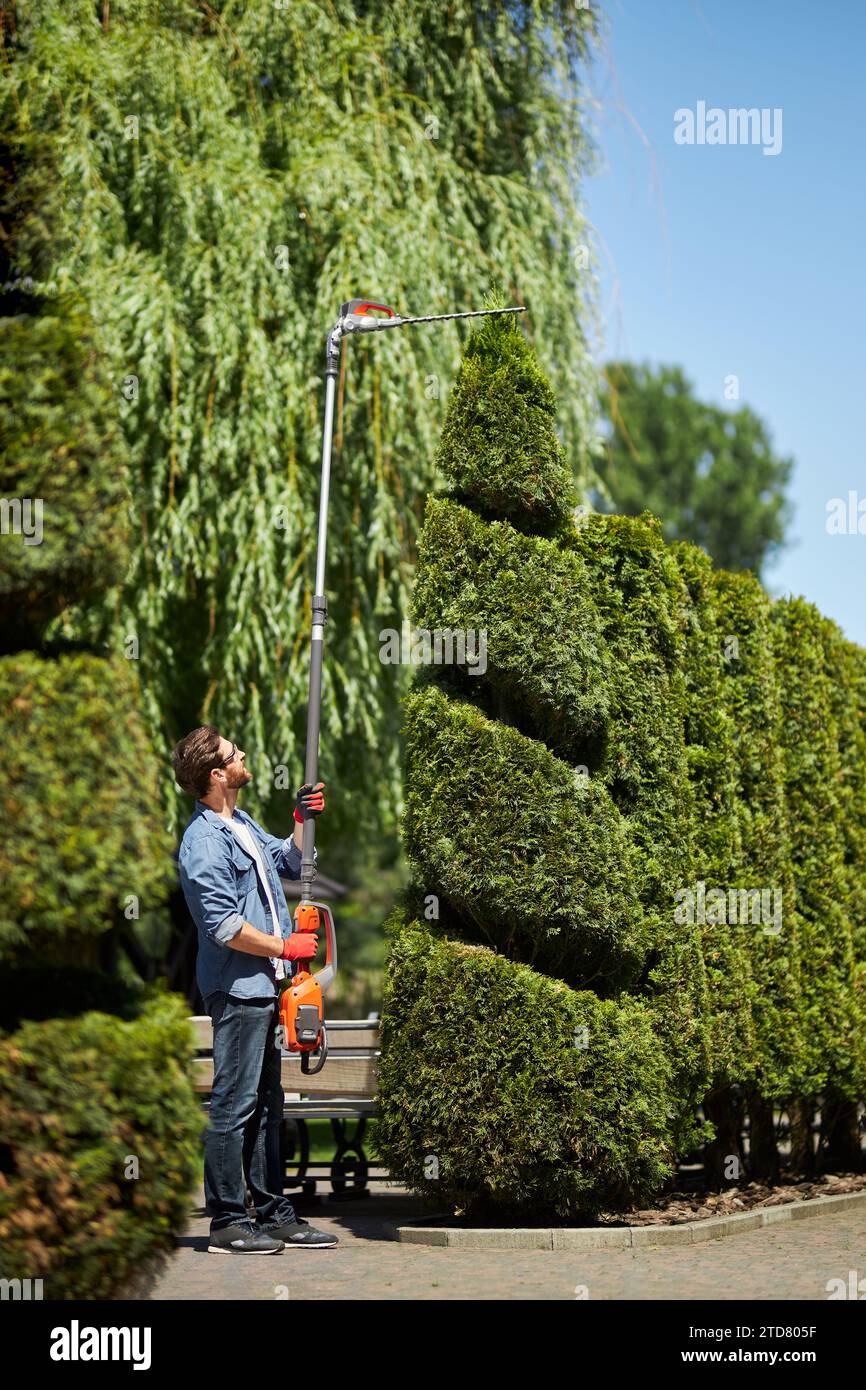 Dark haired gardener in shirt using electric hedge trimmer for shaping conifer tree outdoors. Side view of skillful male worker cutting top of thuja b Stock Photo