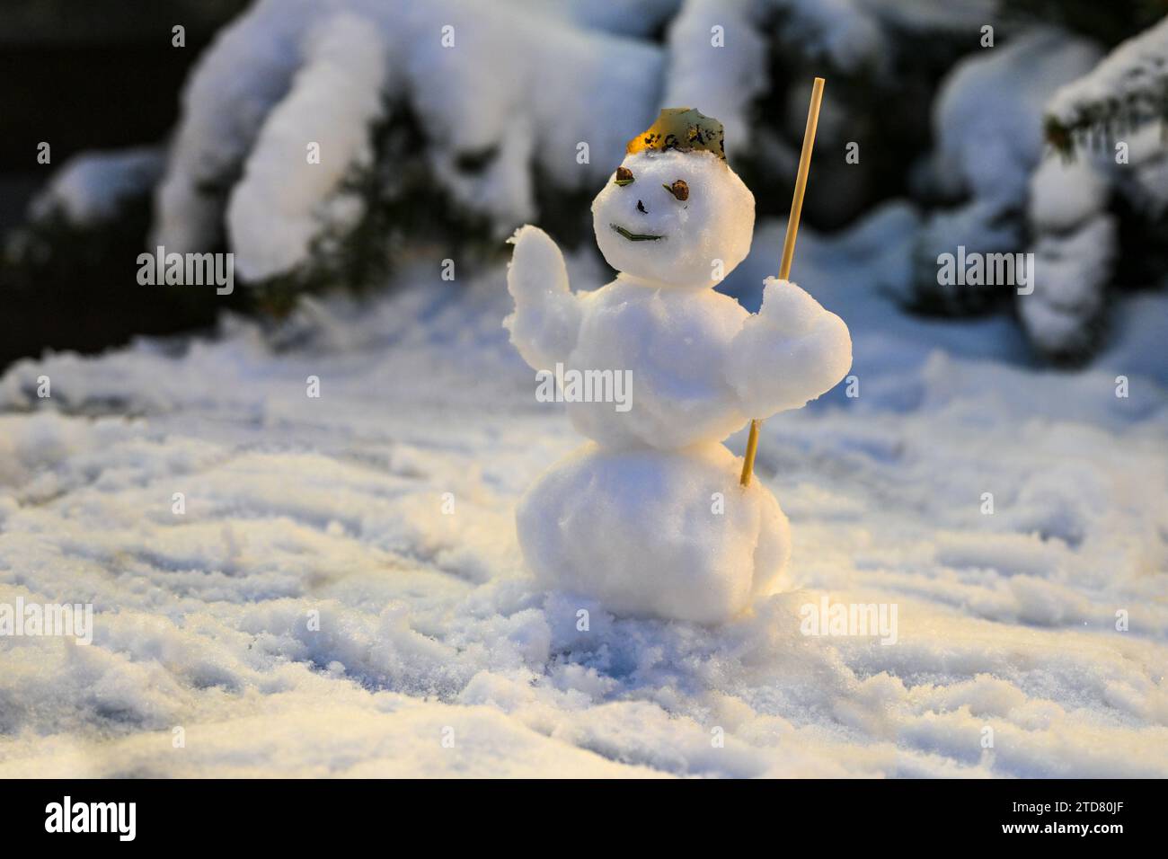 Little cute snowman in front of snow-covered fir trees, winter fun and greeting card for holidays like Christmas or new year, copy space, selected foc Stock Photo