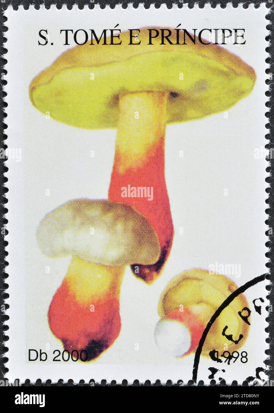 Cancelled postage stamp printed by São Tomé and Príncipe, that shows Boletus satanas mushroom, circa 1998. Stock Photo