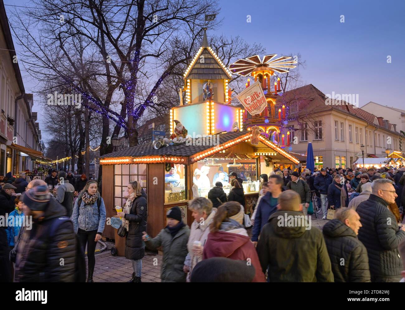 Weihnachtsmarkt Blauer Lichterglanz, Brandenburger Straße, Potsdam, Brandenburg, Deutschland Stock Photo
